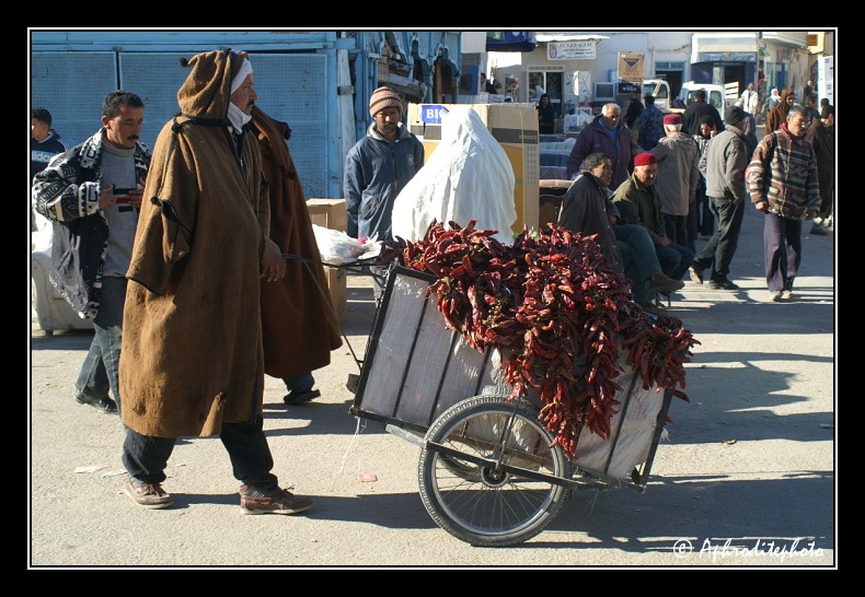 213 Kairouan,le souk
